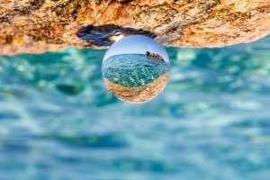 2024 08 12 bullesde 001